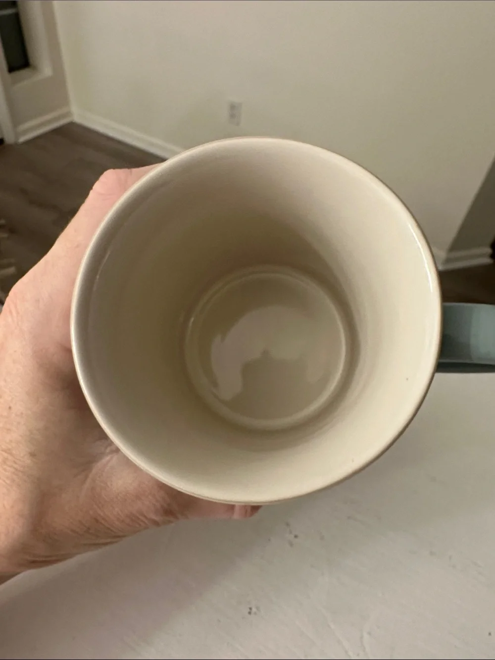 Le Creuset Vancouver Mug in the color Sea Salt. 14 oz